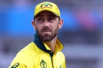 Glenn Maxwell news, Glenn Maxwell, australian cricketer glenn maxwell s shocking drinking session, Glenn maxwell