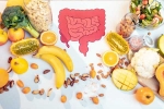 Good Gut Health experts, Gut Health new tips, how to maintain good gut health, Seasons