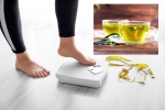 Green Tea for Weight loss study, Green Tea for Weight loss latest tips, can consuming green tea really help in weight loss, Skin care