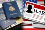 H1B drops, H1B drops, huge drop in sanctions of h1b visa to indian it companies by 43 between 2015 17, H1b drops