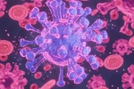 HMPV Virus case China, HMPV Virus case breaking, first hmpv virus case detected in india s bengaluru, Bangalore