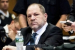 Hollywood, Harvey Weinstein, ny judge dismisses one charge against harvey weinstein, Global positioning system