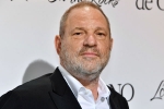 Harvey Weinstein, British Film Institute, uk probe into harvey weinstein s sexual assaults widens with seven women, Movie mogul