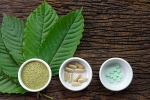 disorders care, lifestyle, this pain treating herbal supplement is not safe for use, Opioid