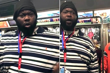 Indian-origin girl faced racist remarks in New York