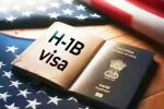 Indians H-1B Visas struggles, Indians H-1B Visas new breaking, indians with h 1b visas struggling to survive, Us citizens