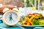 Intermittent Fasting experts, Intermittent Fasting advantages, how to take intermittent fasting, Autophagy