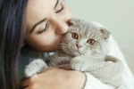 cats pets, International Cat Day, international cat day reasons why being a cat owner is good for health, Pet cats