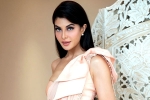 Jacqueline Fernandez new updates, Jacqueline Fernandez controversy, jacqueline fernandez files complaint against sukesh chandrashekhar, Bollywood actress