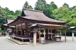 Japan Viral Mikami Shrine viral, Japan Viral Mikami Shrine videos, why are travellers flocking to japan s viral mikami shrine, Talent