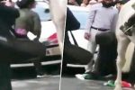 poonam joshi saving Indian flag, journalist poonam Joshi, watch journalist jumps into violent protest to save indian tricolor, Snatch
