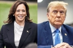 Donald Trump, Kamala Harris Vs Donald Trump updates, kamala harris leads donald trump in the new poll, Ipsos