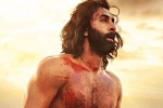 Karan Johar Animal updates, Animal, karan johar heaps praise on animal, Kahaani