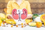 Kidneys Health doctors, Kidneys Health food, how to keep your kidneys healthy, Chocolate