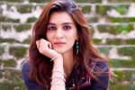 Entertainment, Neetu Kapoor, kriti sanon tested positive for covid 19, Neetu kapoor