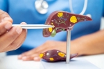 Liver Health breaking, Liver Health latest, factors that worsens your liver health, Antioxidants