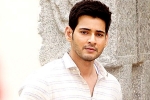 Koratala Siva, Mahesh Babu updates, mahesh babu to take a long break, Bharat anu nenu