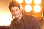 Mahesh Babu new movie, Parasuram, mahesh babu getting bollywood beauty for his next, Sarileru neekevvaru