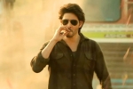 Guntur Kaaram latest updates, Pooja Hegde, major changed for mahesh babu s guntur kaaram, Pooja hegde