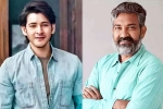Mahesh Babu, Mahesh Babu and Rajamouli Film announcement, interesting updates about mahesh babu and rajamouli film, Ssmb29