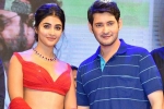 Pooja Hegde upcoming biggies, Pooja Hegde and Mahesh Babu, mahesh babu all set to romance pooja hegde again, Maharshi