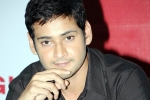 Vamshi Paidipally, Ashwini Dutt, mahesh reveals his next projects, Newyear