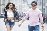 Manmadhudu 2 trailer, Rakul Preet Singh, manmadhudu 2 trailer is packed with entertainment, Manmadhudu 2