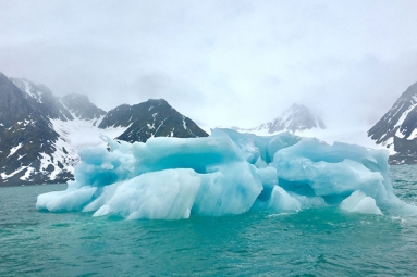 Melting of Glaciers Impacting the Earth's Crust