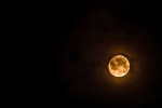 should we study on ganesh chaturthi, when not to see moon on ganesh chaturthi 2017, here s why you should not look at moon on ganesh chaturthi, Lord ganesha
