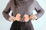 Kidneys Health habits in the morning, Kidneys Health experts, morning habits to keep your kidneys healthy, Toxins