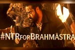 Brahmastra, Brahmastra news, ntr turns chief guest for brahmastra event, Brahmastra telugu event