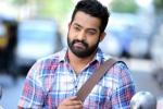 NTR next film, NTR Arts, official ntr s next film locked, Sardar gabbar singh
