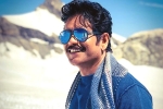 Bangarraju, Nagarjuna news, nag in a bollywood remake, Manmadhudu 2