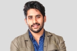 Naga Chaitanya new film, Naga Chaitanya, interesting title for naga chaitanya s next, Venky mama