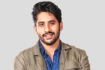 Sekhar Kammula, Sekhar Kammula, interesting title for naga chaitanya s next, Majili