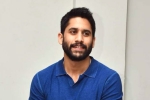 Naga Chaitanya, Naga Chaitanya next film, change of plans for naga chaitanya, Romantic comedy