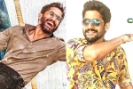 Naga Chaitanya updates, Naga Chaitanya films, naga chaitanya gearing up with two films, Sushanth
