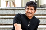 Nagarjuna next film, Nagarjuna new movie, nagarjuna s 100th film will be a multi starrer, Nagarjuna 100th film