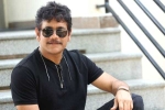 Nagarjuna, Mohan Raja, nagarjuna s 100th film locked, Bangarraju
