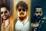 Nagarjuna, The Ghost Kurnool event, akkineni family to support nagarjuna s the ghost, Sonal chauhan