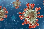 China Covid Row India, China Covid Row updates, new china coronavirus variant traced in india, Odisha