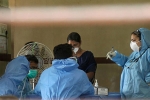 symptoms of Nipha virus, symptoms of Nipha virus, nipah virus alerts hyderabad with symptoms from two suspected victims, Nipah viru