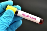 Nipah Virus in Kerala, Nipah Virus symptoms, nipah virus is back again two deaths registered, Nipah viru