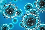 Tollywood, Coronavirus, omicron fear for tollywood, Tollywood movies