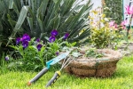Plants that attract Snakes list, Plants that attract Snakes breaking, five plants that attract snakes at home, Snakes