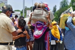 labourers, migrant workers, plight of migrant workers baby shakes to wake up deceased mother, Ashok bhushan