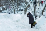 polar vortex 2014, Polar Vortex, polar vortex extreme colds hits u s midwest 21 killed, Nws