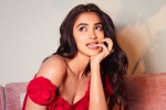 Pooja Hegde news, Pooja Hegde new film, pooja hegde in talks for a biggie, Shahid kapoor