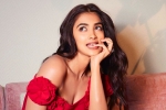 Pooja Hegde movies, Pooja Hegde upcoming films, pooja hegde in talks for a biggie, Siddharth roy kapur