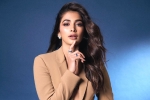 Pooja Hegde upcoming films, Pooja Hegde upcoming movies, pooja hegde lines up bollywood films, Shahid kapoor